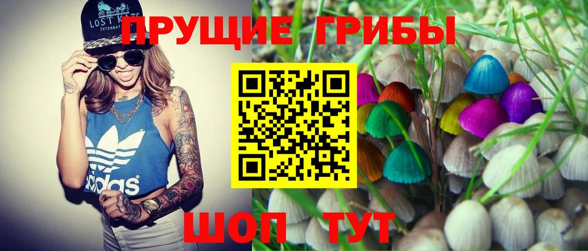 Галлюциногенные грибы прущие грибы Нижний Тагил