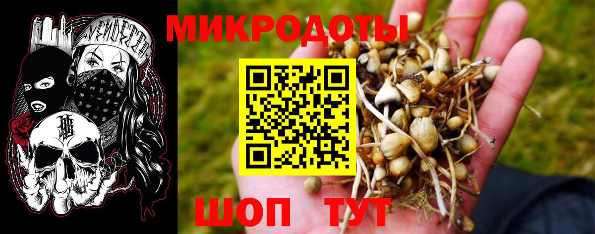 где найти наркотики  Галлюциногенные грибы Magic Shrooms  Вход с VPN  Нижний Тагил  Галлюциногенные грибы MAGIC MUSHROOMS 