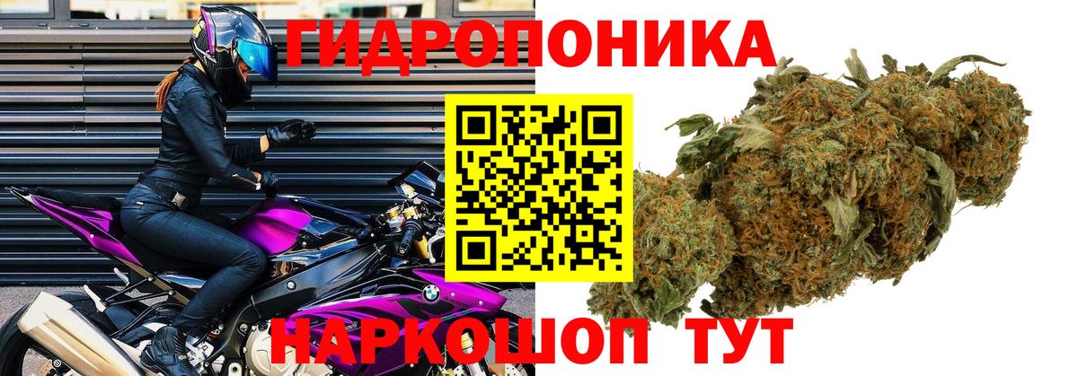 Нижний Тагил  Бошки марихуана индика  Канабис планчик  Вход с VPN  Шишки марихуана Ganja 